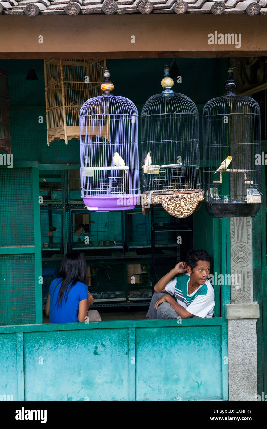 Children on the Bird Market in Indonesia Stock Photo Alamy