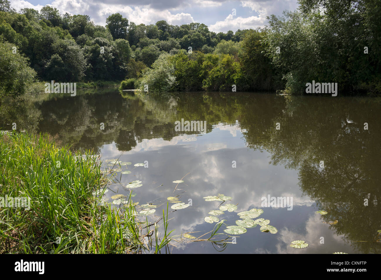 the river avon bidford on avon warwickshire the midlands england uk