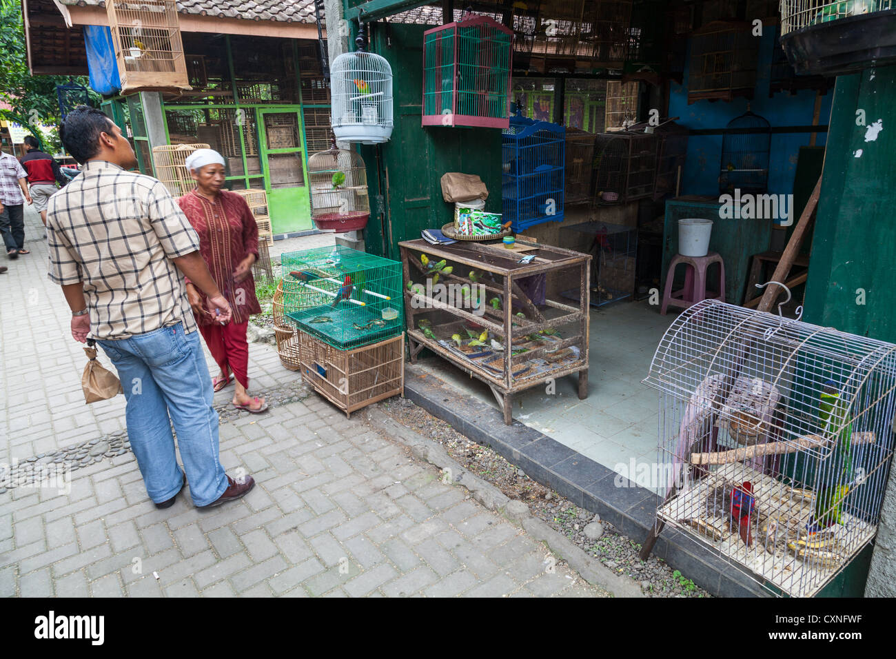 On the Bird Market in Yogyakarta in Indonesia Stock Photo
