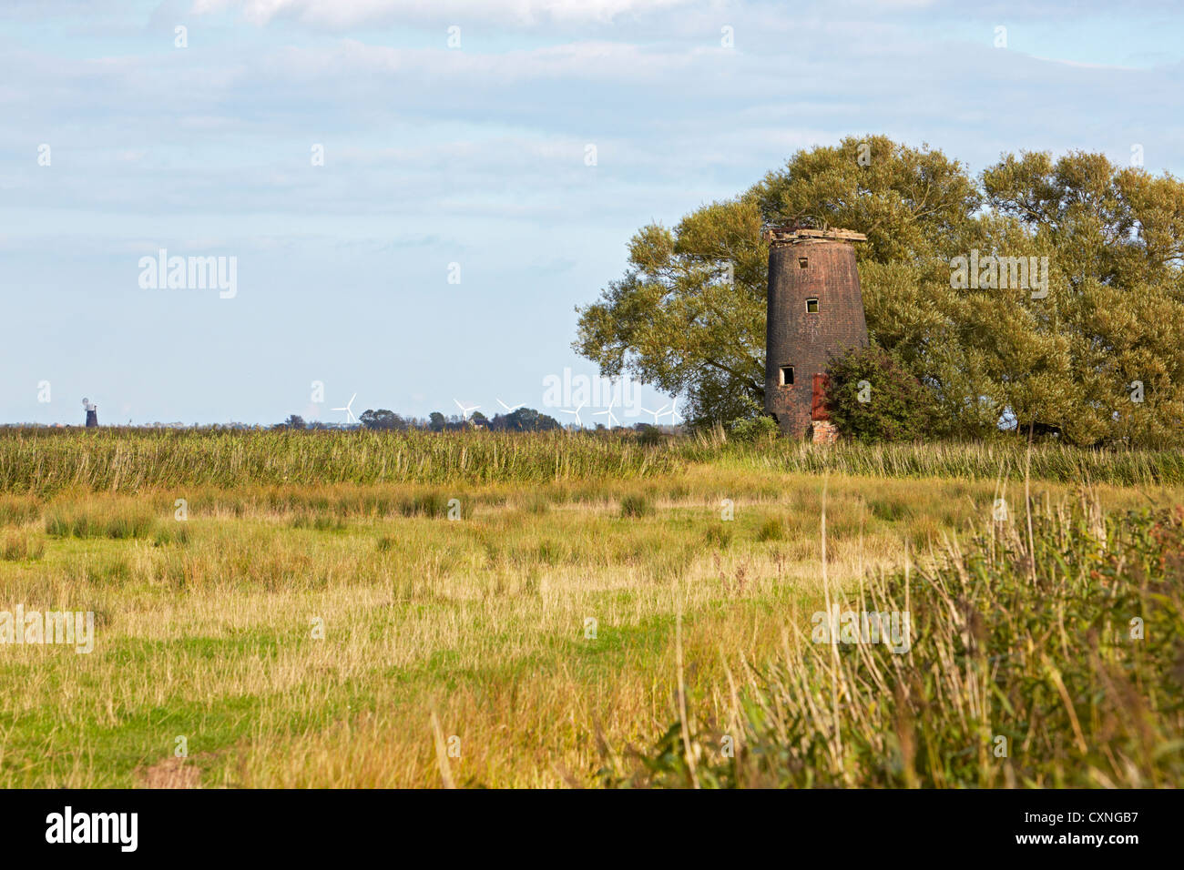 Norfolk derelict drainage mill Halvergate marshes Stock Photo