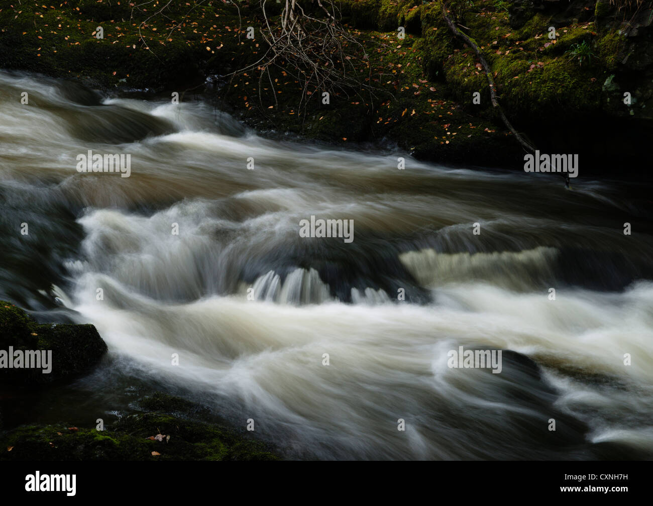 The River Devon rushes through the gorge at Rumbling Bridge near ...