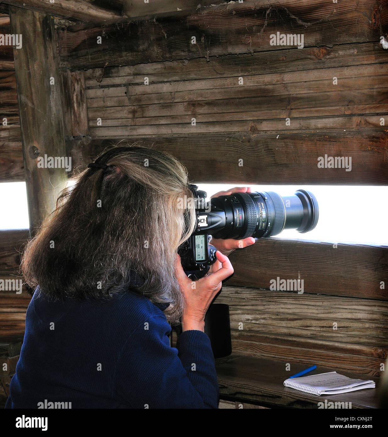 Female birdwatcher  photographing  from a hide  in the inner 'Sanctuary'the heart of the Marais du Vigueirat ,Camargue, South of France Stock Photo