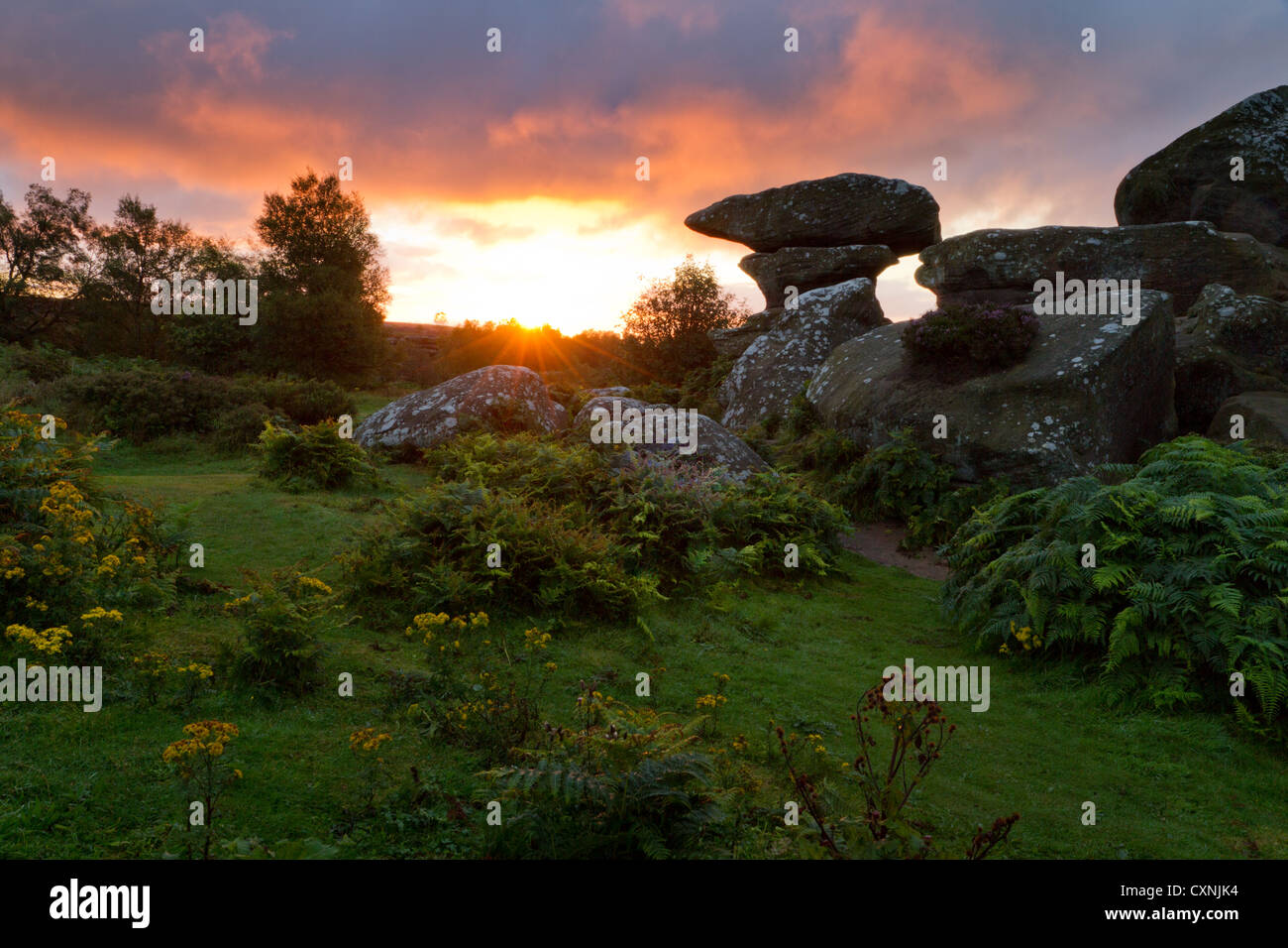 Sunset Brimham Rocks Brimham Rocks, National Trust, Yorkshire, sunrise, autumn Stock Photo ...