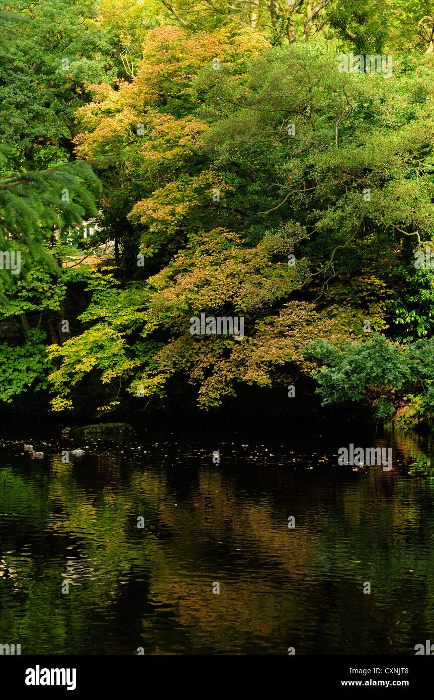 Autumn Peak District Derbyshire.River Derwent,Froggart Village. Stock Photo