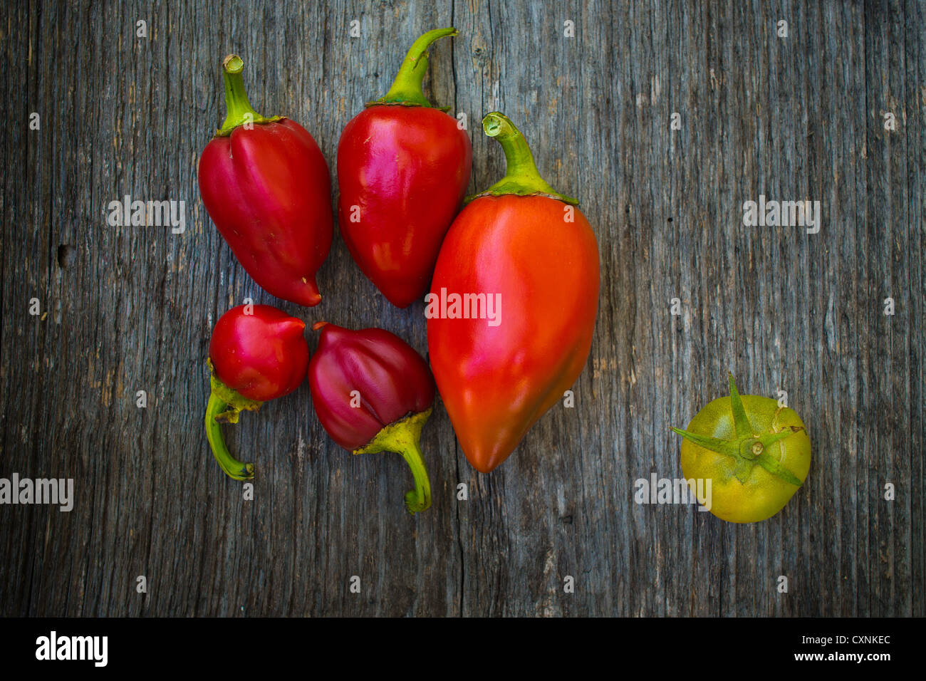 Capsicum and tomato Stock Photo Alamy