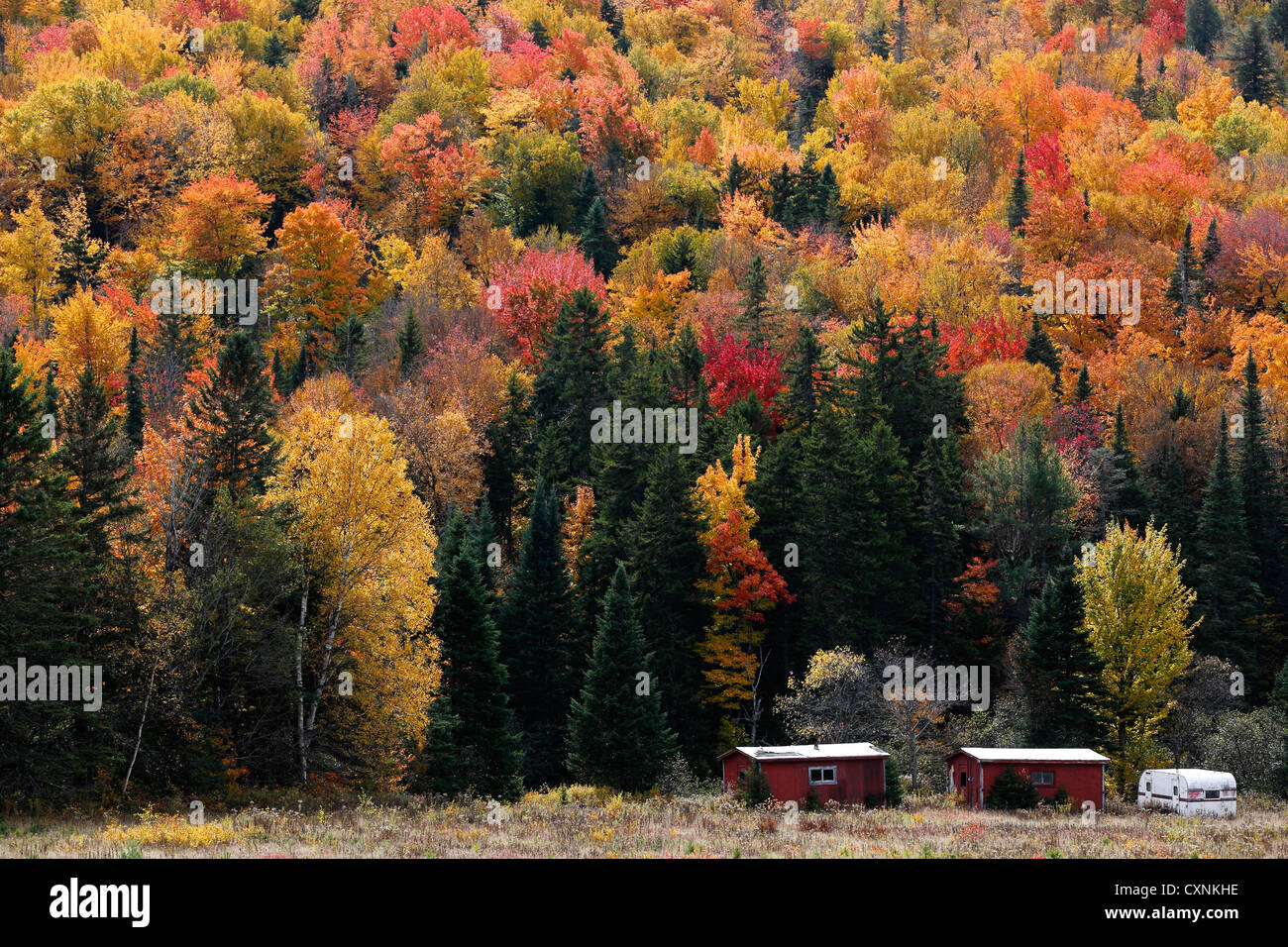 Fall foliage, Dixville Notch, New Hampshire, USA Stock Photo - Alamy