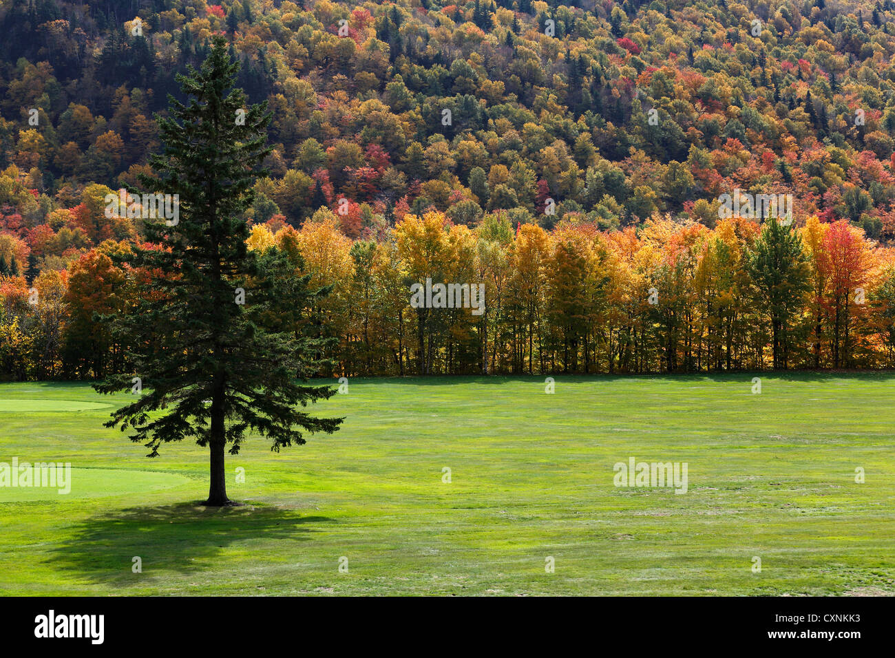 Fall foliage, Dixville Notch, New Hampshire, USA Stock Photo Alamy