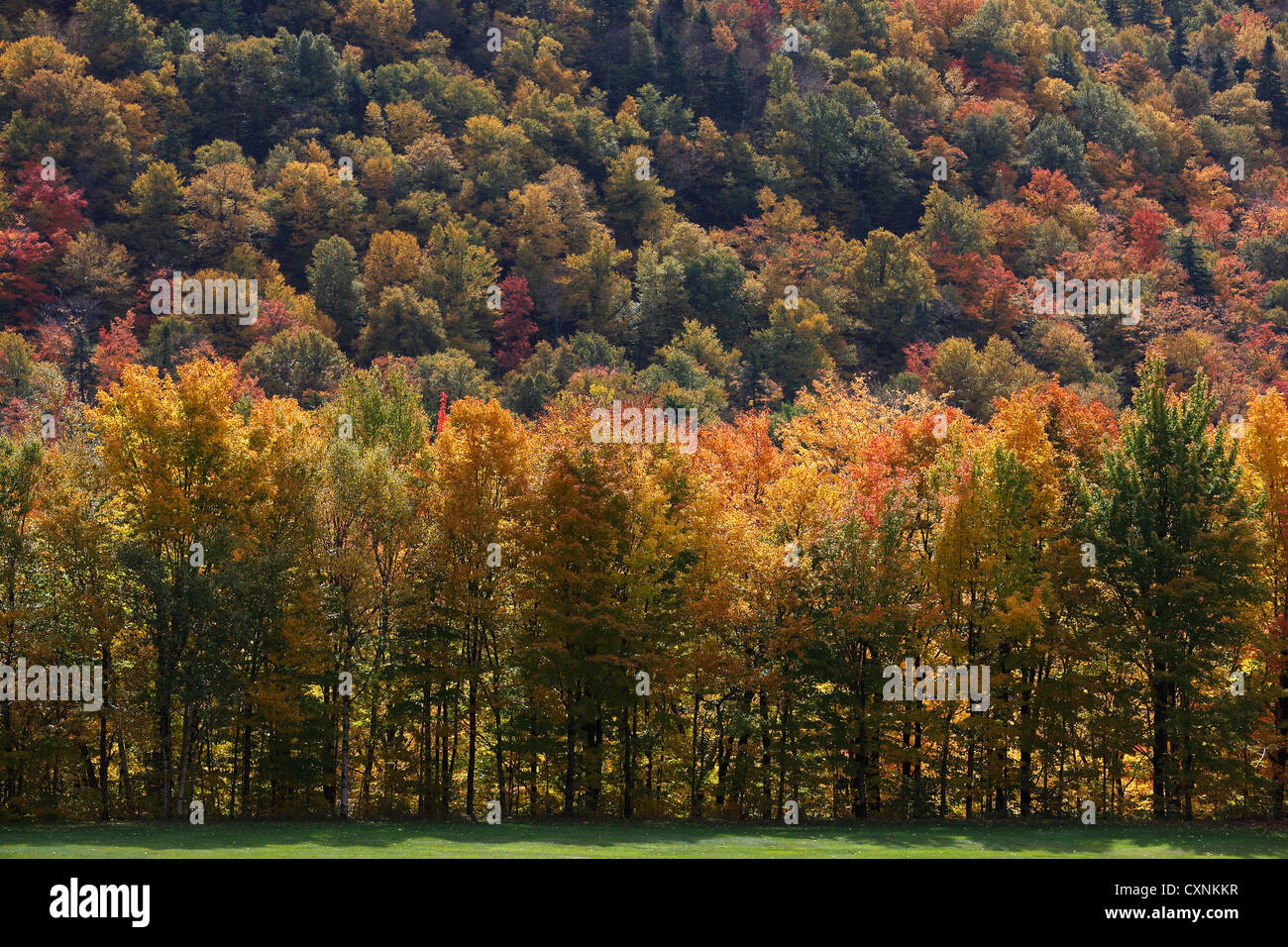 Fall foliage, Dixville Notch, New Hampshire, USA Stock Photo Alamy