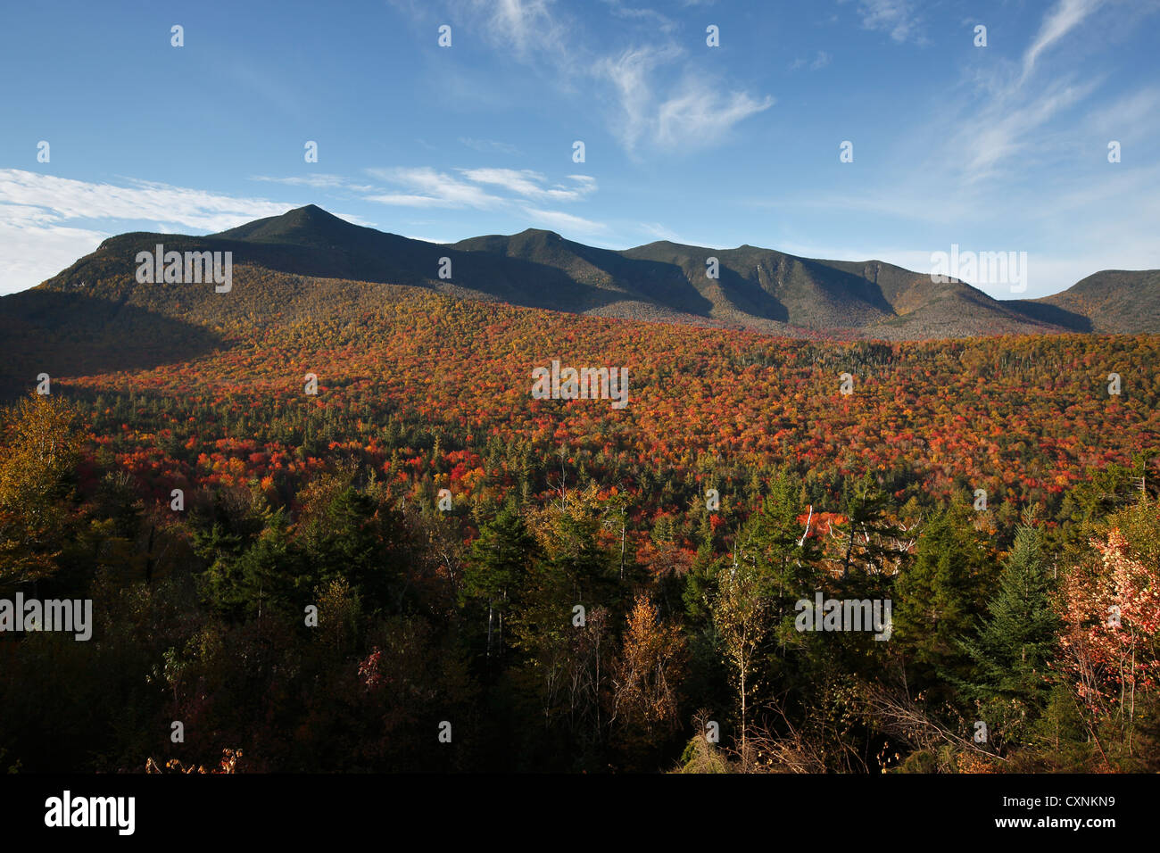 Fall foliage in the White Mountain National Forest as seen from the