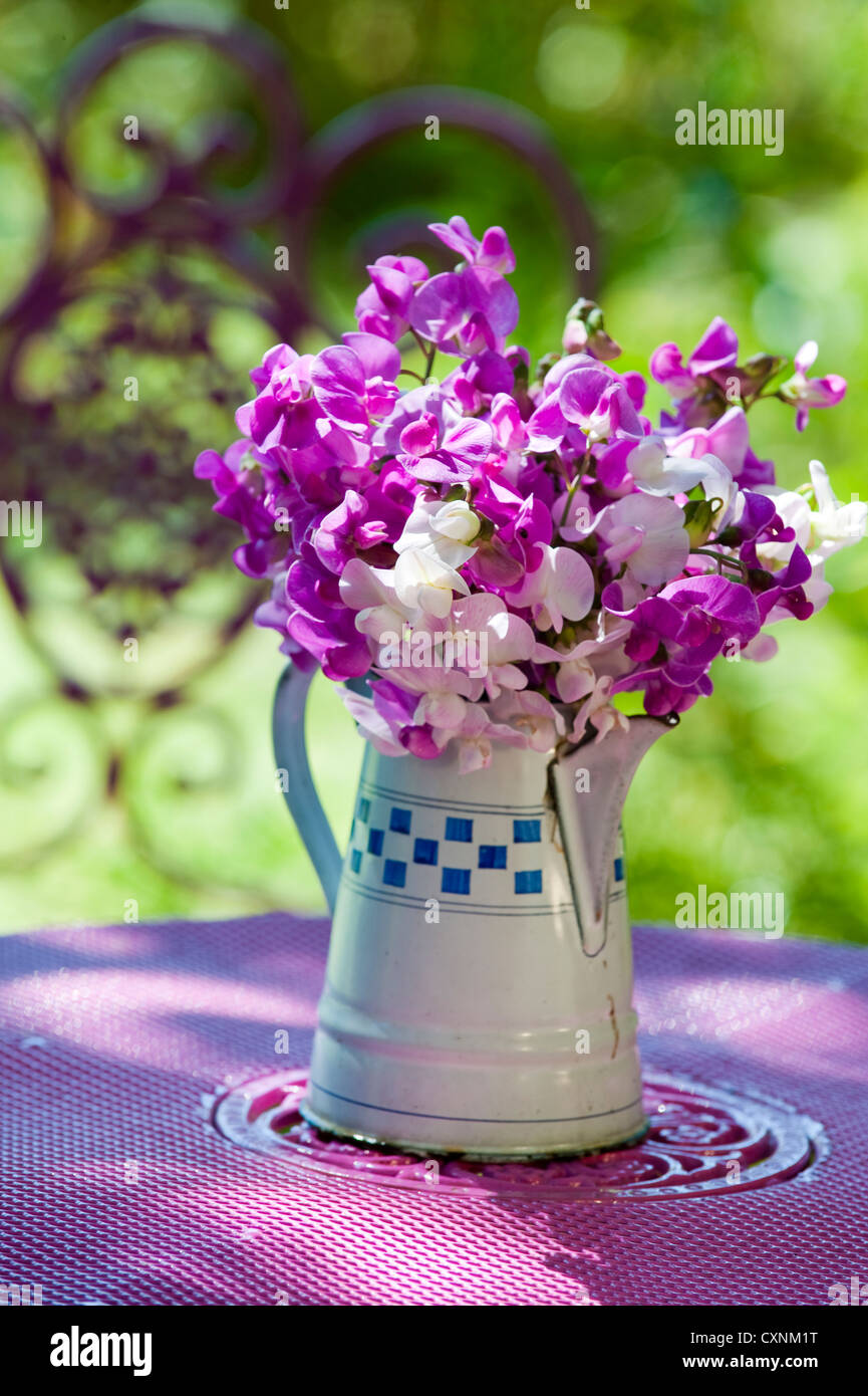 Sweet pea flowers Stock Photo