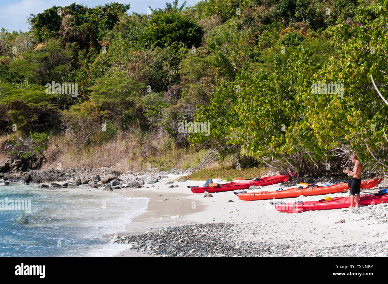 USA, USVI, St John. Tropical winter getaway provides recreation options. Arawak led kayak tour on Honeymoon Bay/Salomon Bay Stock Photo