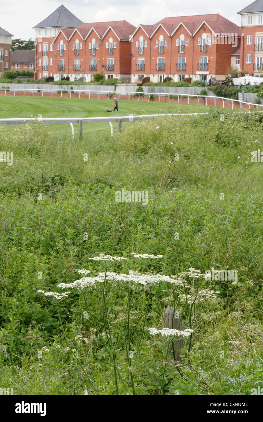 racecourse new housing and flats stratford upon avon warwickshire