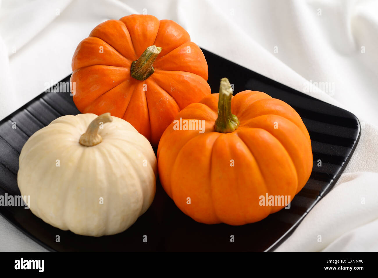 Orange Jack Be Little and white Baby Boo miniature pumpkins on a square black plate Stock Photo