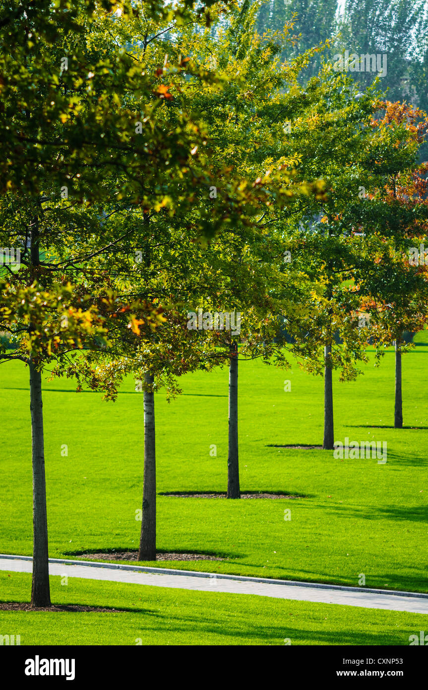Orange park grass trees hi-res stock photography and images - Alamy