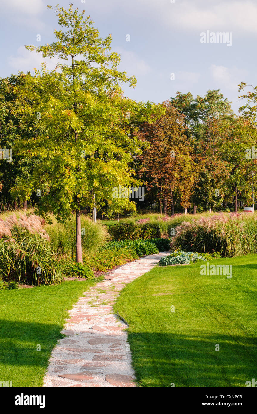 Pathway in autumn trees in park tree hi-res stock photography and ...
