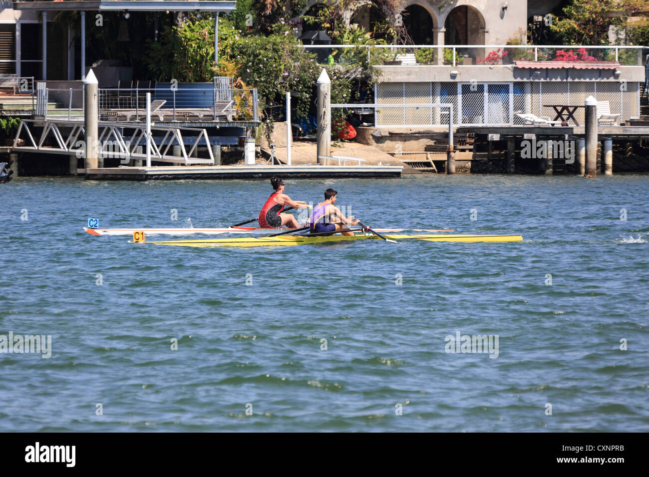 single rowers at University river regatta rowing for trophies Surfers ...