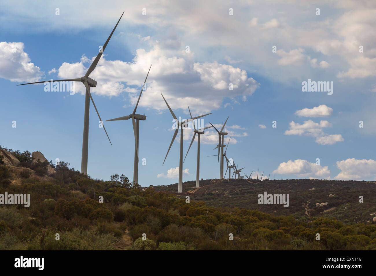Wind Farm, near I-8, 'Kumeyaay Hwy', Live Oak Springs, CA Stock Photo