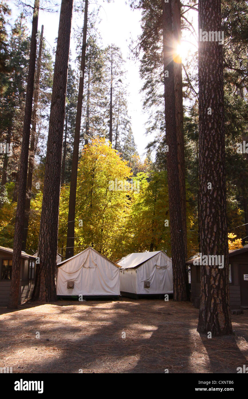 Curry Village Tent Cabins In The Camp Curry Part Of Yosemite