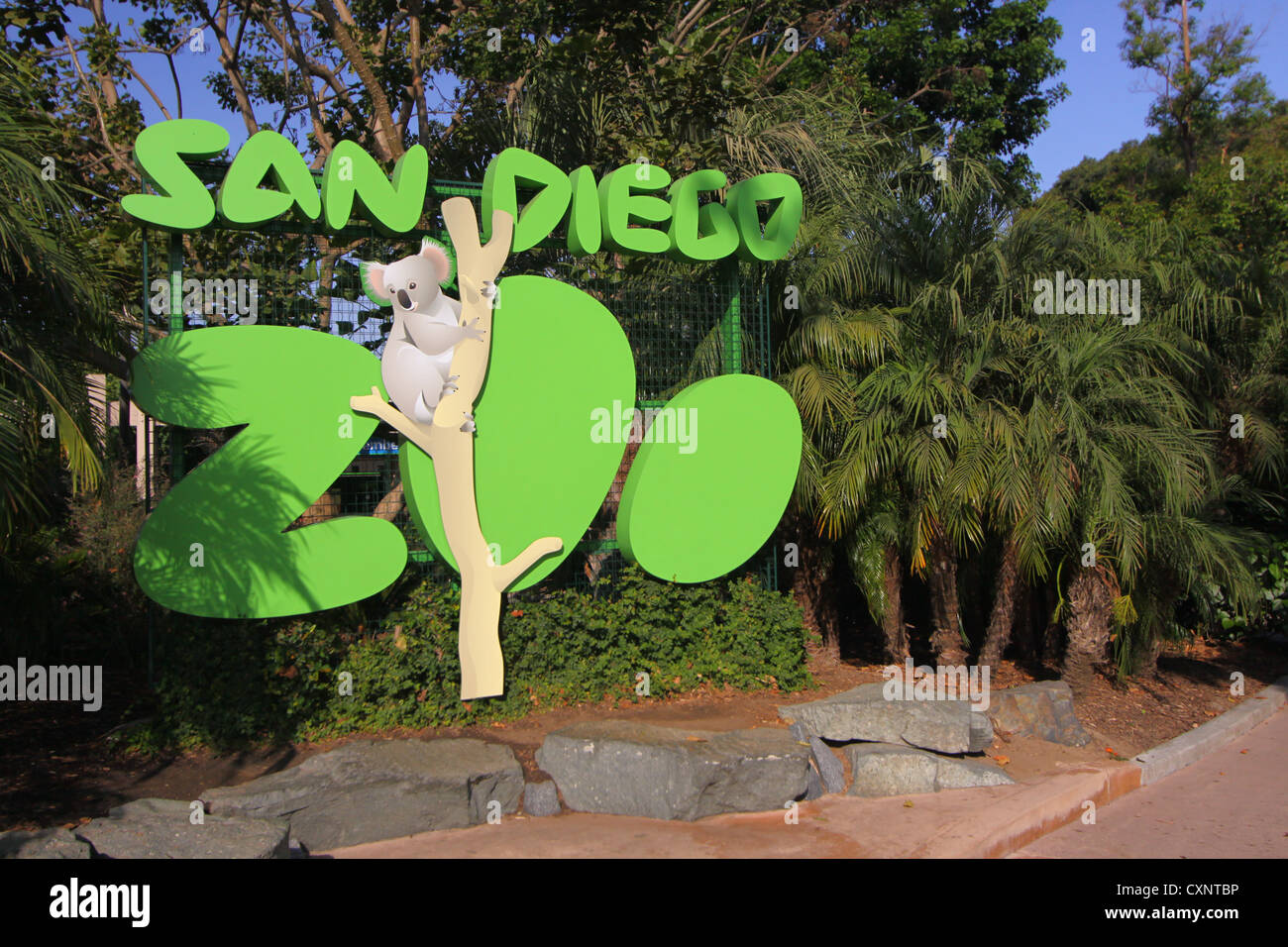 Are Dogs Allowed In San Diego Zoo