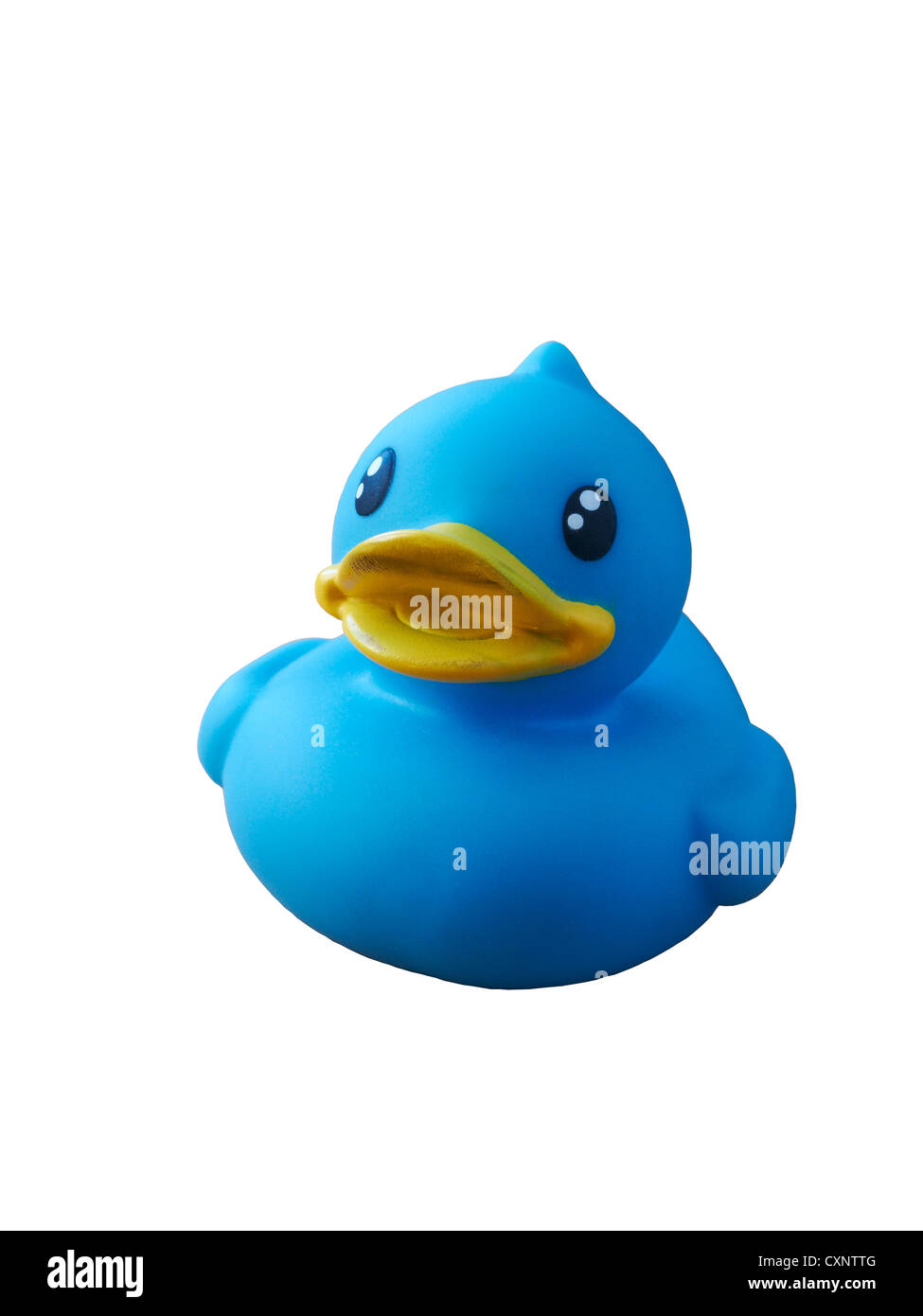 Cut out of a blue rubber duck isolated 