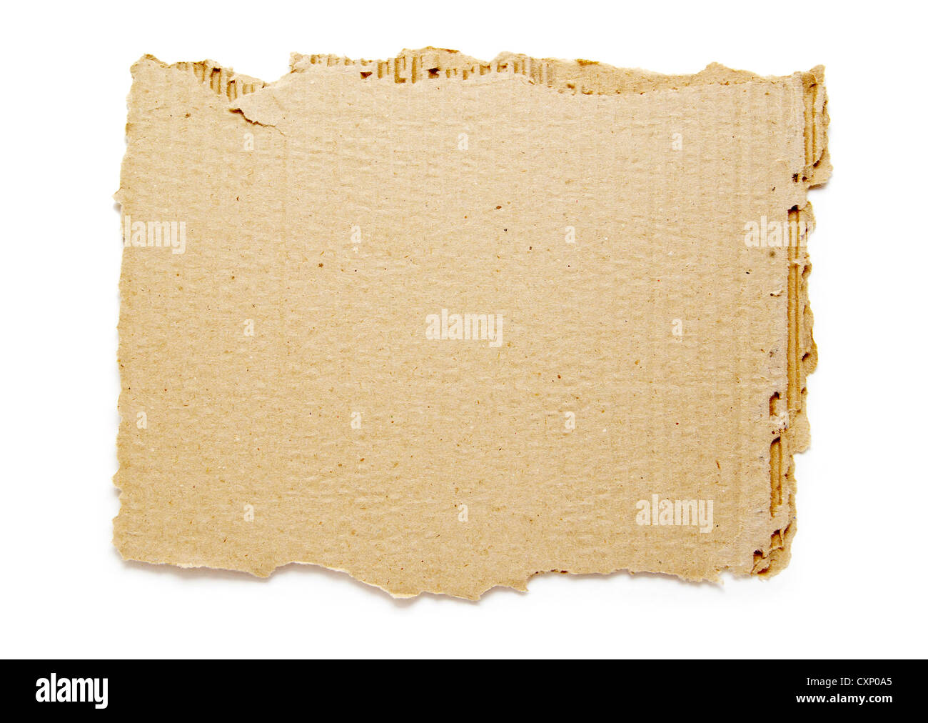 Ripped piece of cardboard on white Stock Photo