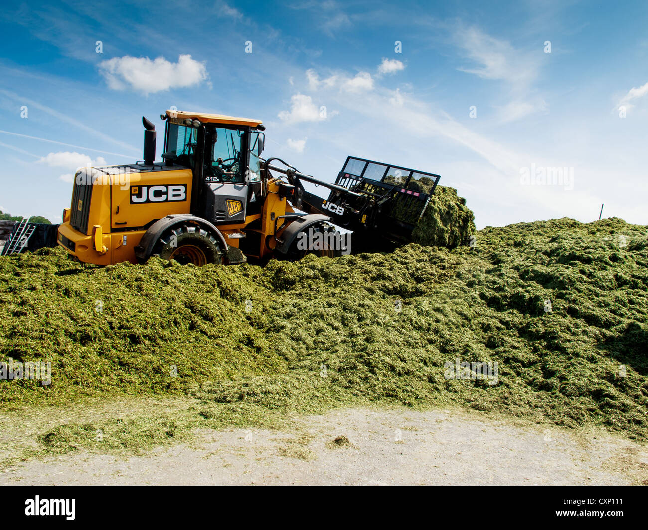 A JCB stacking up the silage heap to produce this years silage Stock Photo