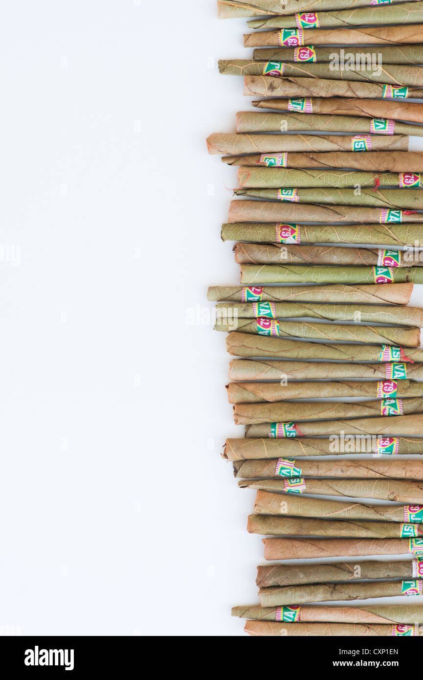 Indian Beedies / Beedi / Cigarettes on white background Stock Photo