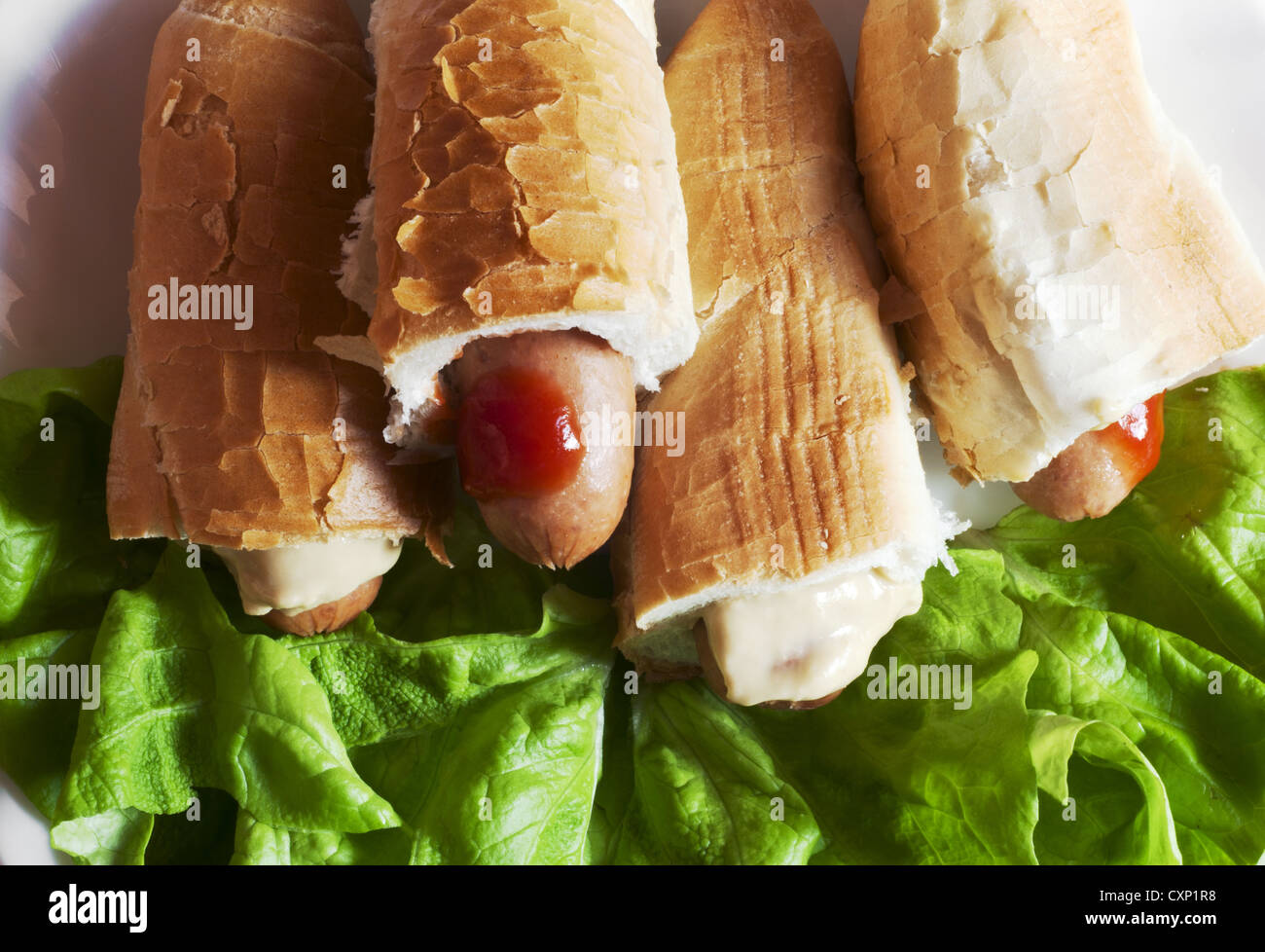 Hot dogs with salad for breakfast Stock Photo