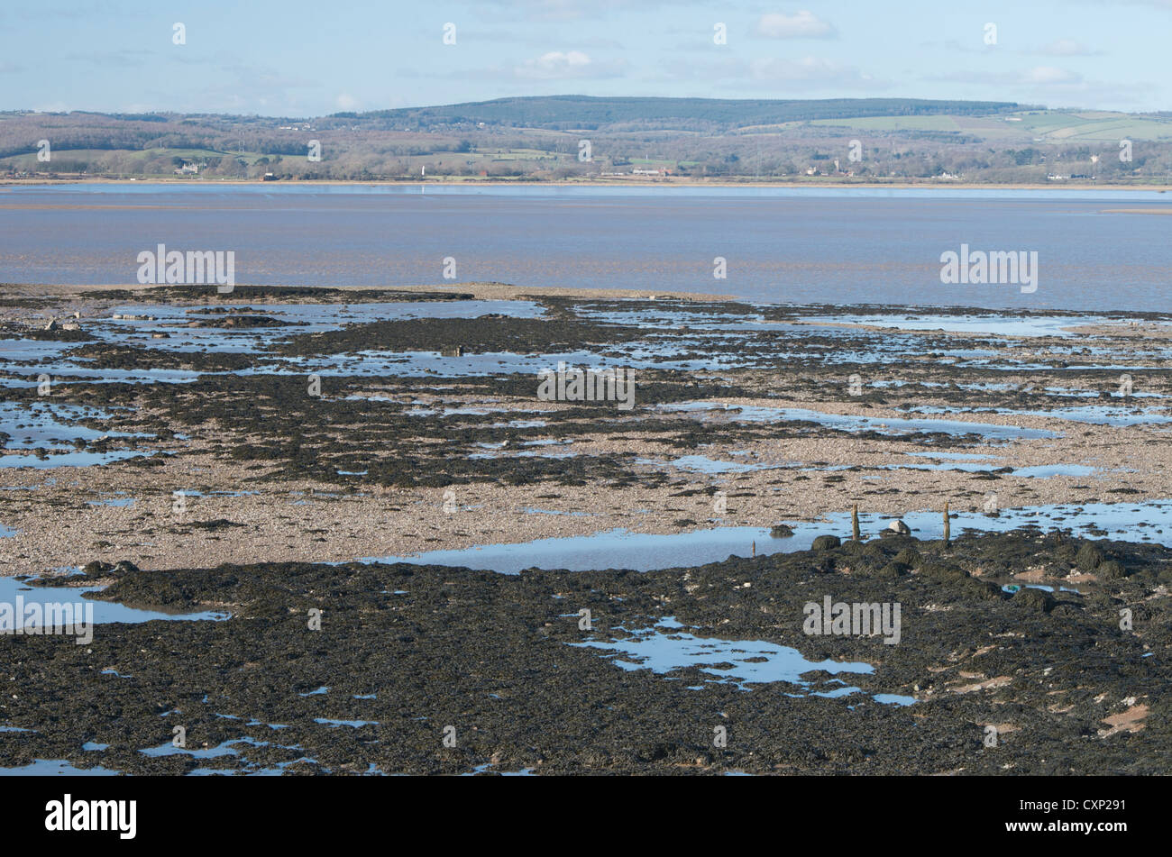 Severn estuary at low tide beside the new Severn bridge Stock Photo