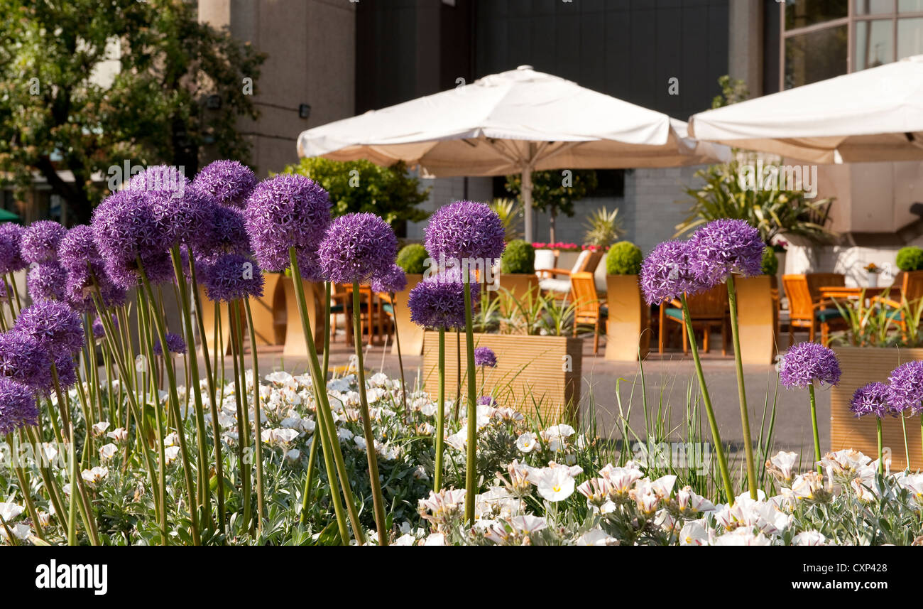 Close up of flowers in front of an outdoor dining area, London, England. Stock Photo