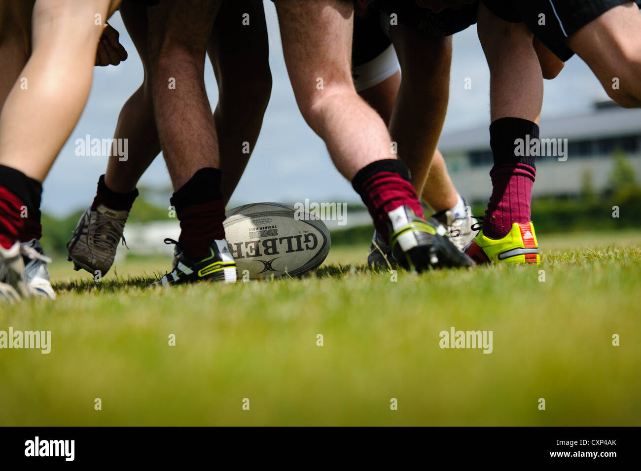 Rugby players in a scrum Stock Photo Alamy