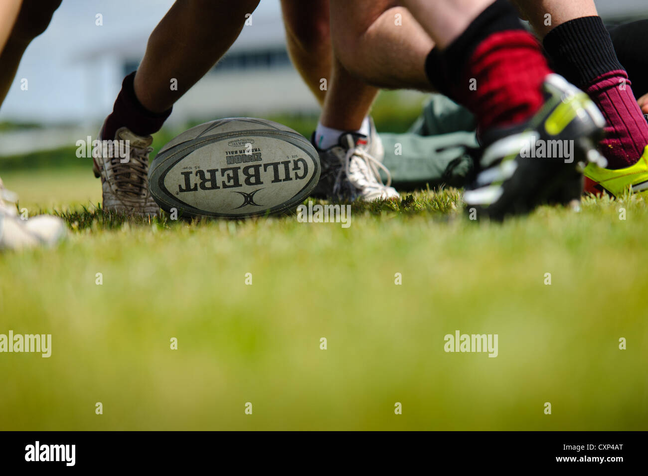 Rugby players in a scrum Stock Photo Alamy