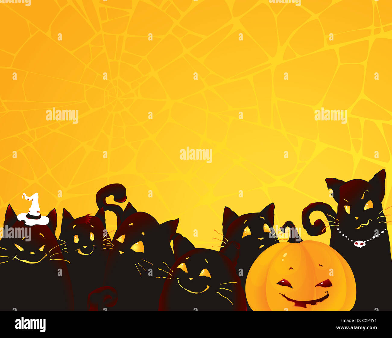 Halloween background with black cats and pumpkin Stock Photo - Alamy