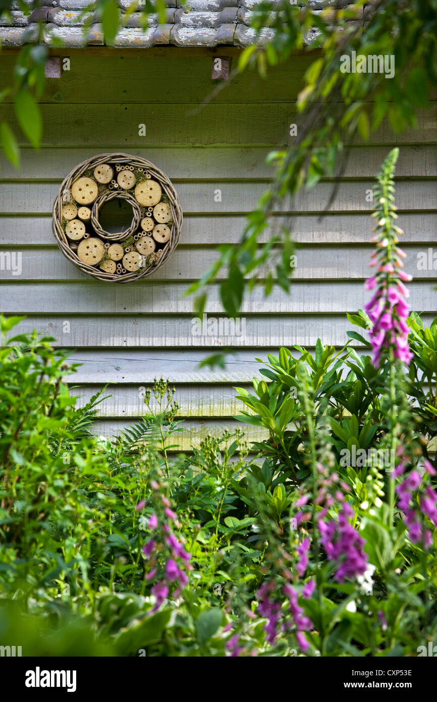 Insect hotel for solitary bees and wasps hanging from garden house, Belgium Stock Photo