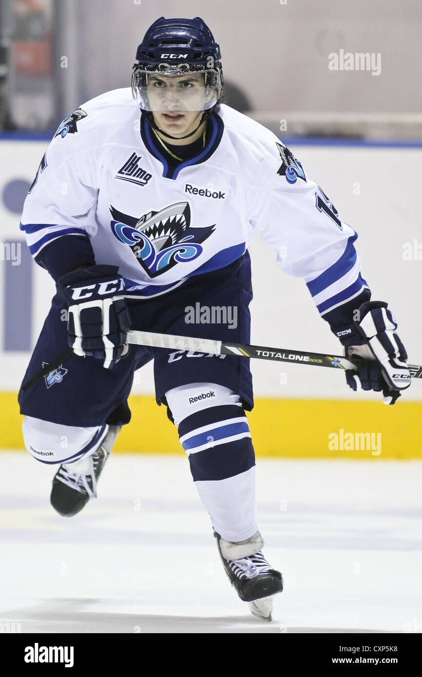 qmjhl lhjmq hockey profile photo on rimouski oceanic anthony deluca stock photo alamy