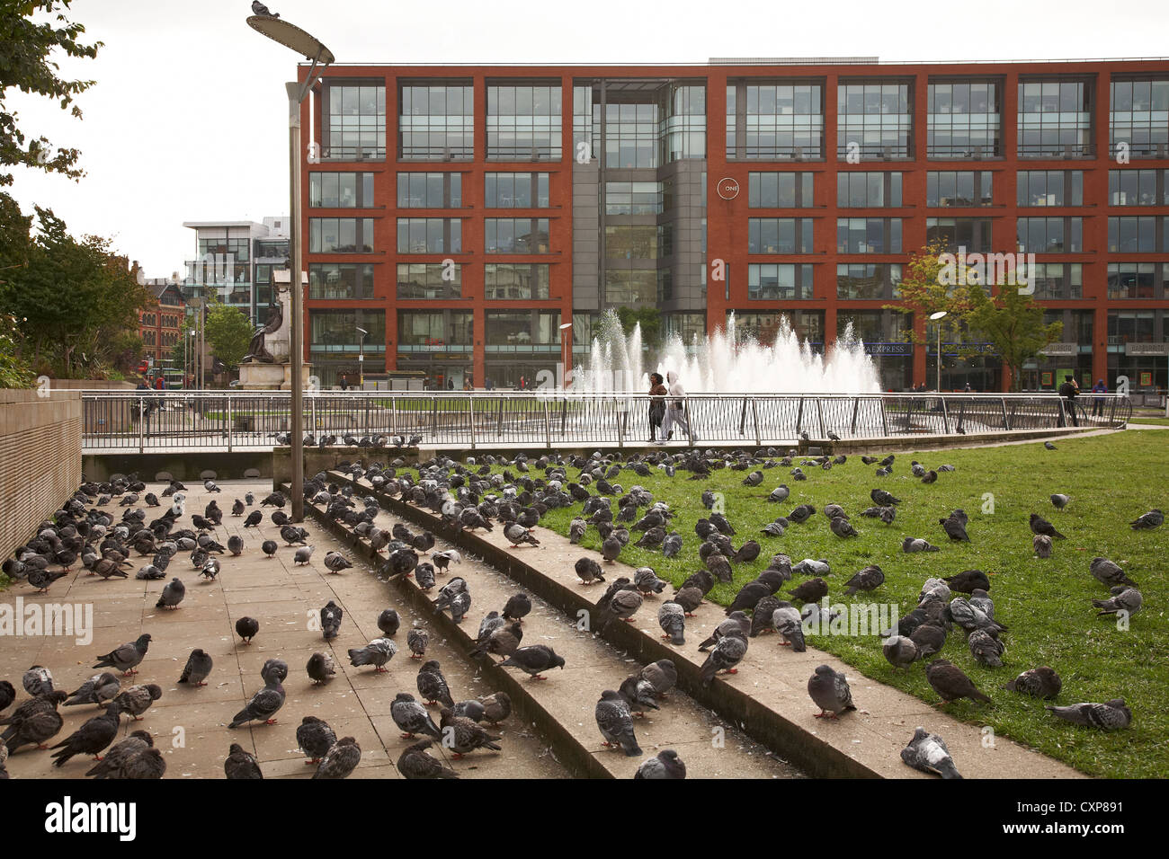 Pigeons in Piccadilly Gardens Manchester UK Stock Photo