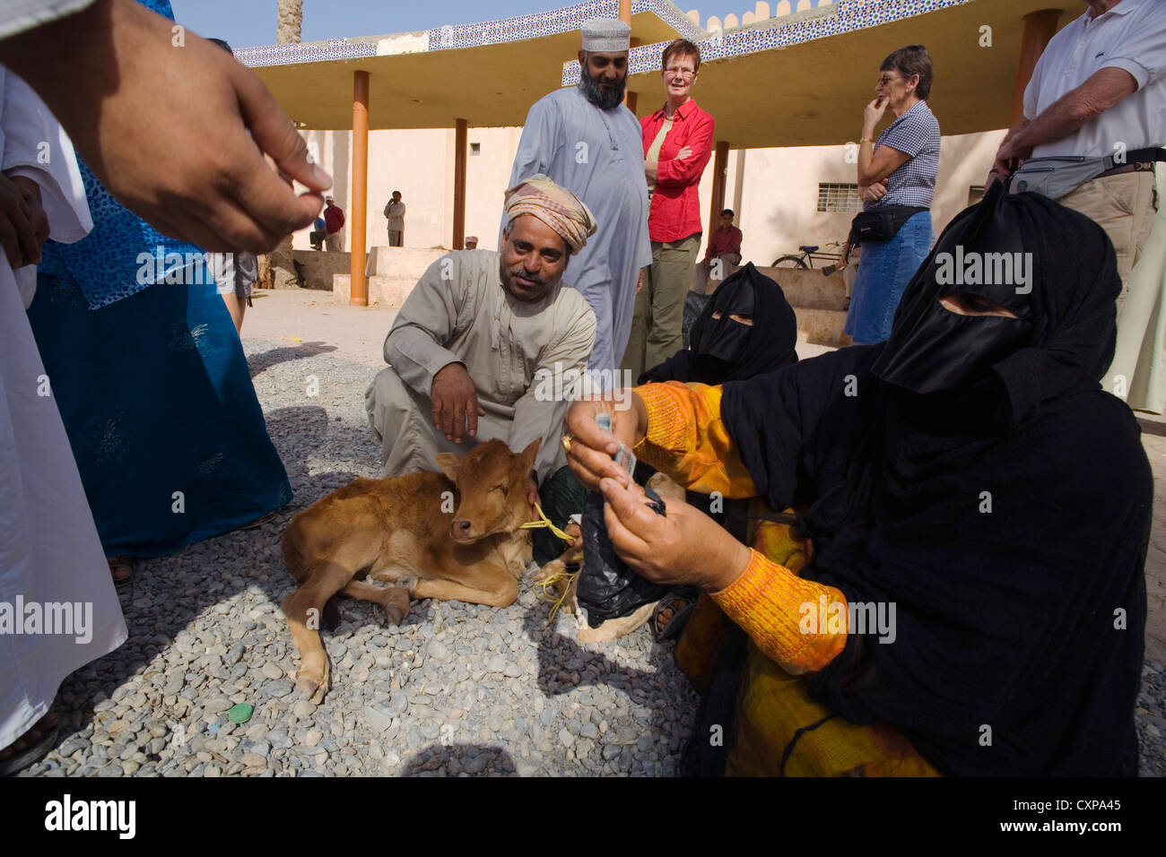Commerce at the livestock souq in Nizwa, Oman Stock Photo