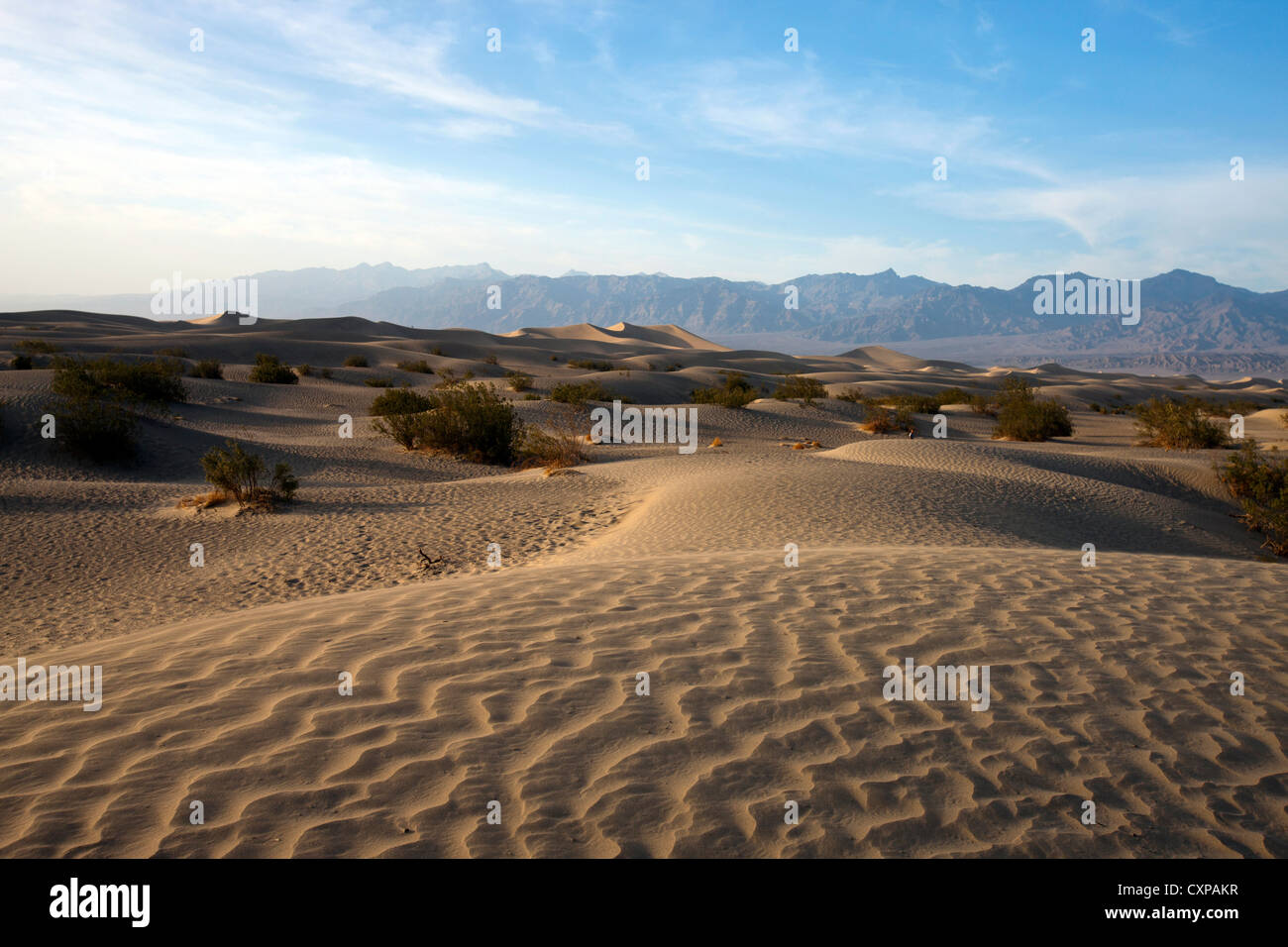 Sand dunes, Mesquite Dunes, Death Valley National Park, California