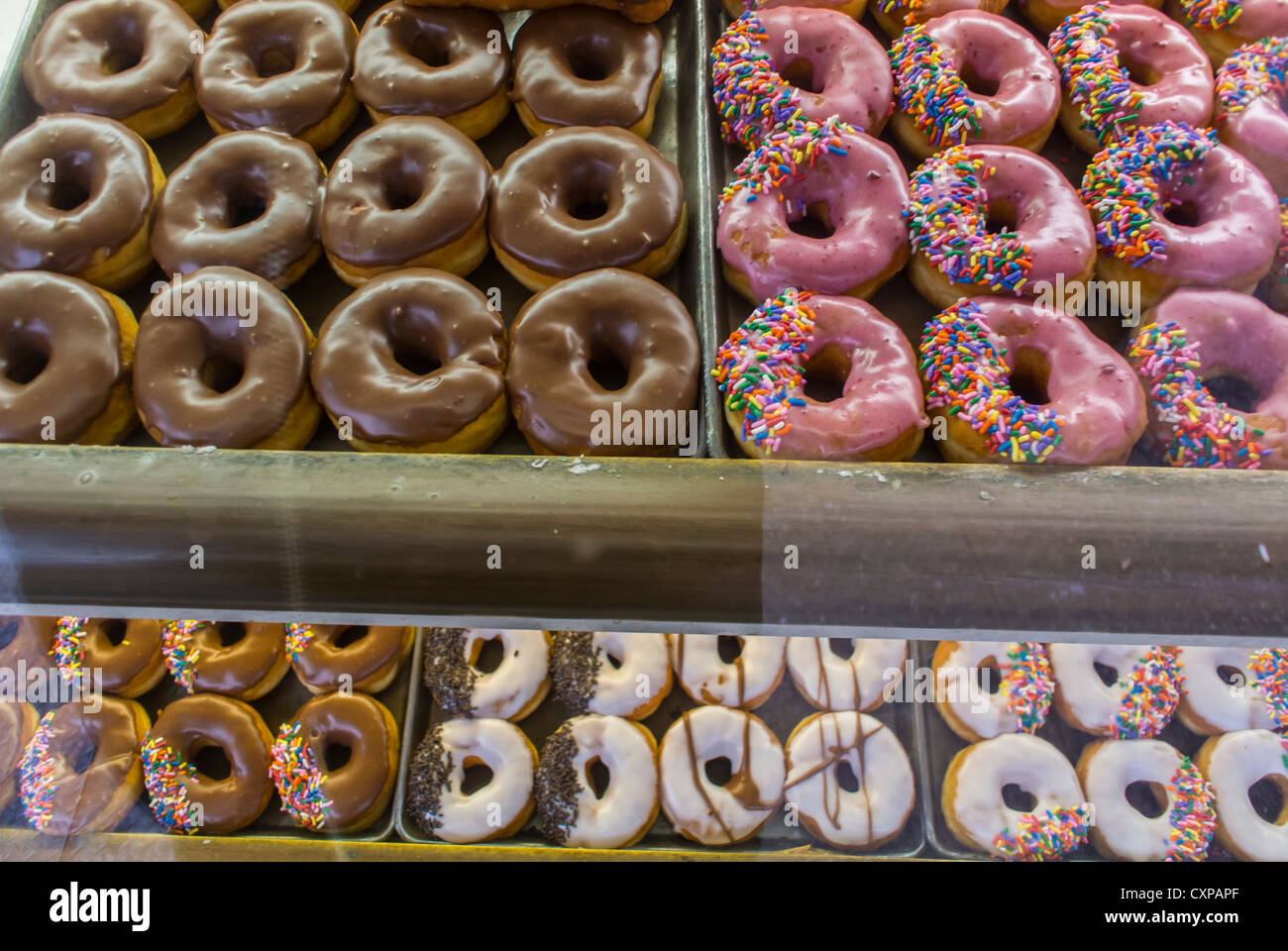 New York City, NY, Donuts on Display in American Bakery New York City, NY, Donuts on Display in American Bakery