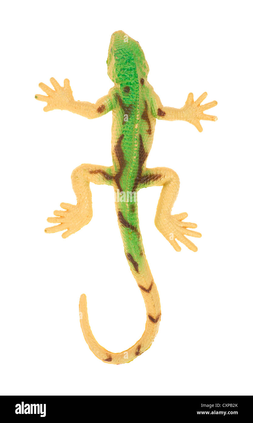 Top view of a toy gecko on a white background. Stock Photo