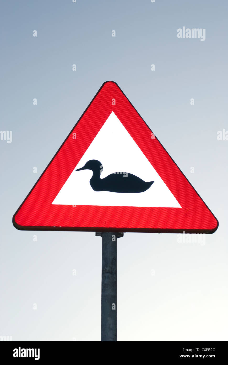 Traffic sign warning for ducks Stock Photo