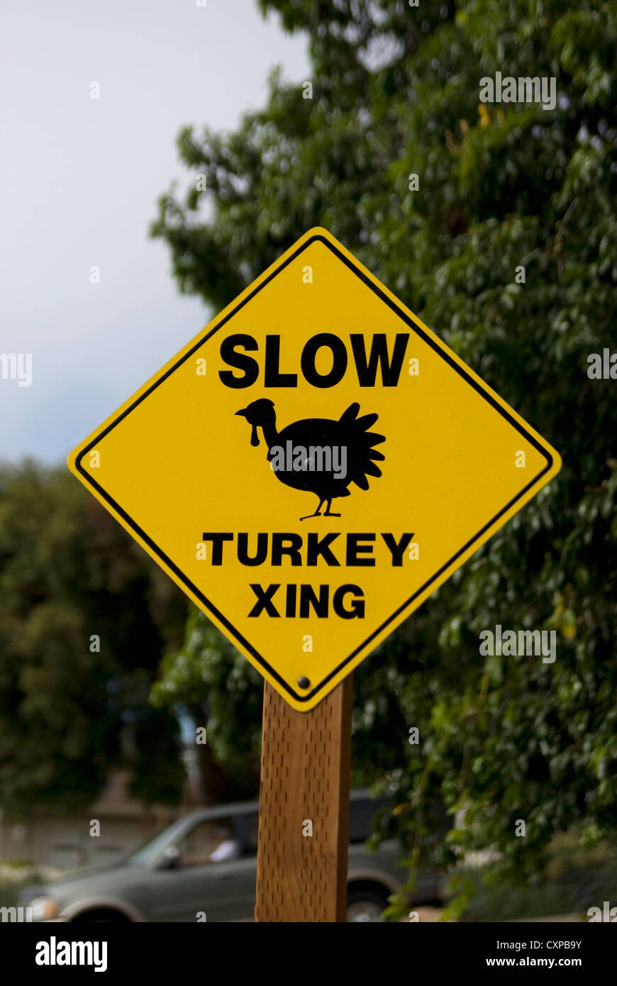 Traffic sign which warns for crossing turkeys Stock Photo - Alamy
