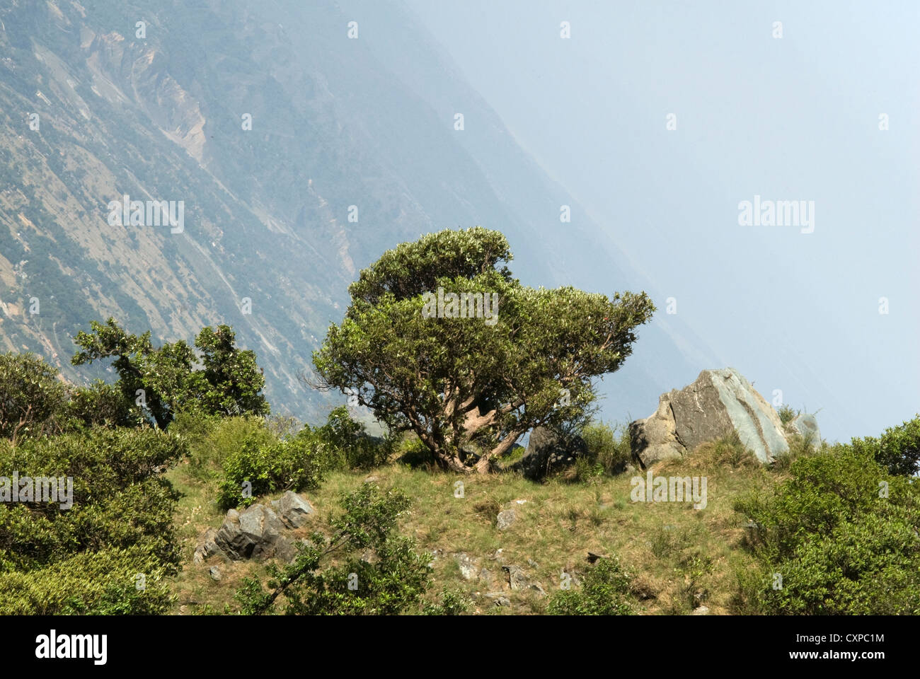 Deceptive hi-res stock photography and images - Alamy