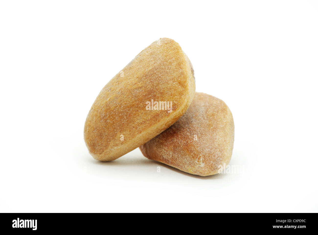 Brown cedar nuts fruit on white background Stock Photo