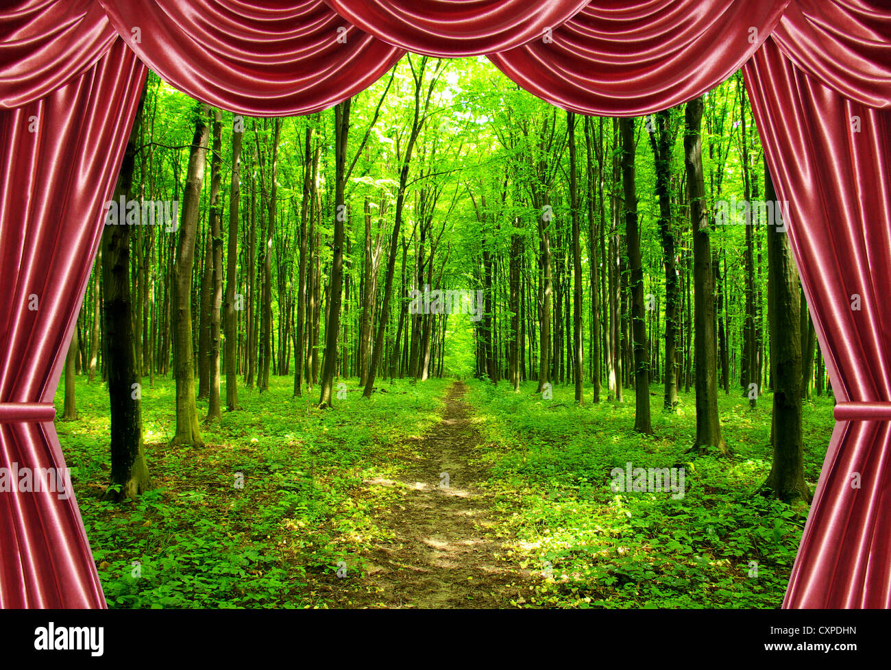 a path is in the green forest Stock Photo - Alamy