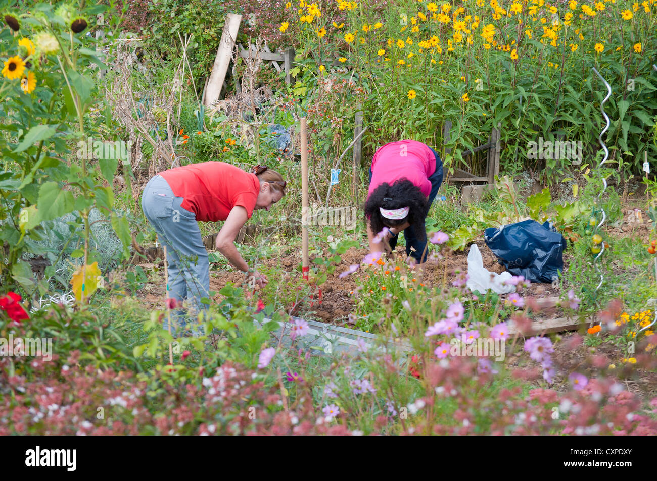 jardinieres travaillant dans un jardin gardeners Stock Photo