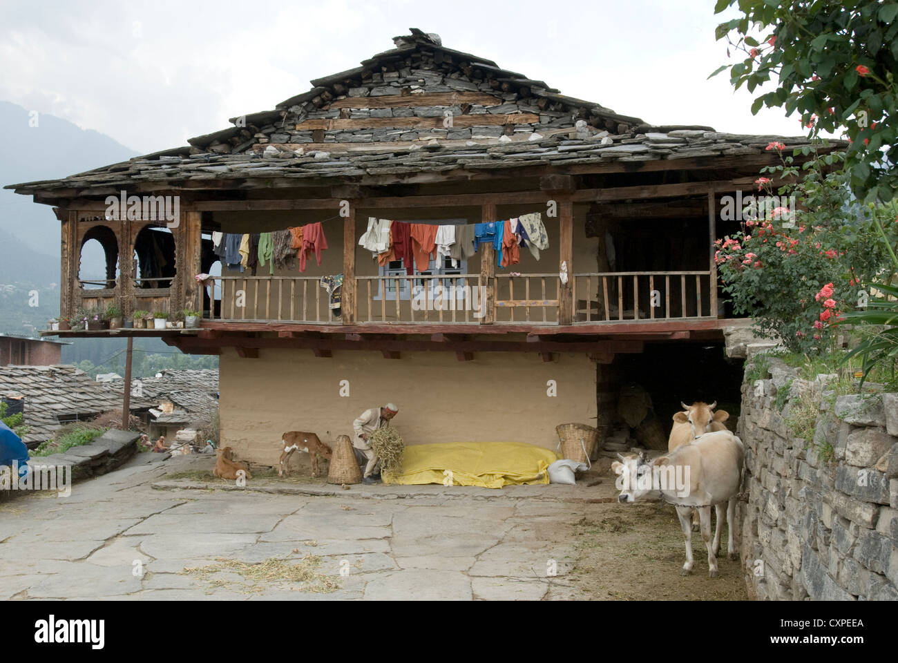 Traditional village man india hi-res stock photography and images - Alamy