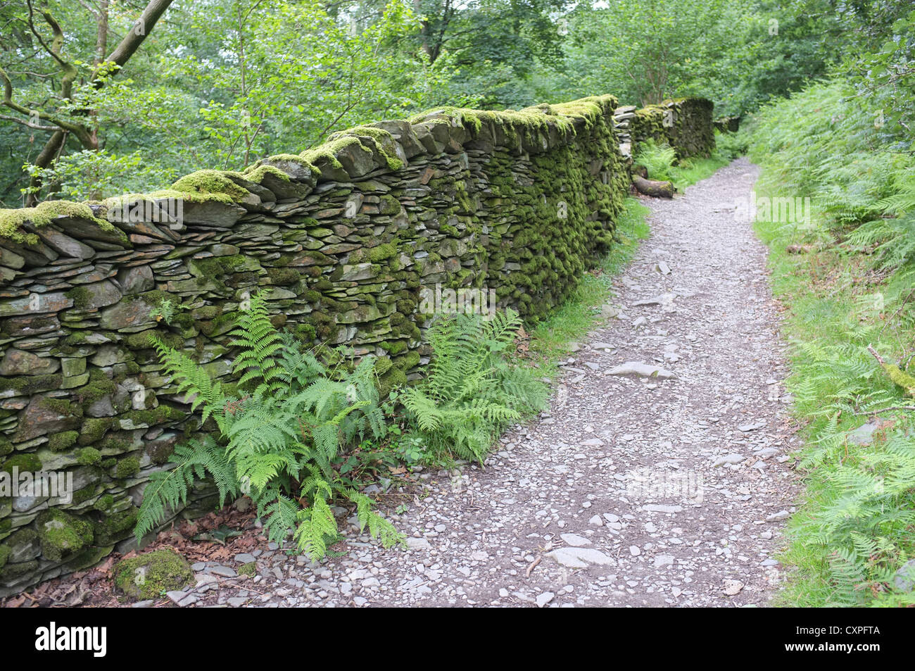 Typical hiking path, the English Lake District Stock Photo