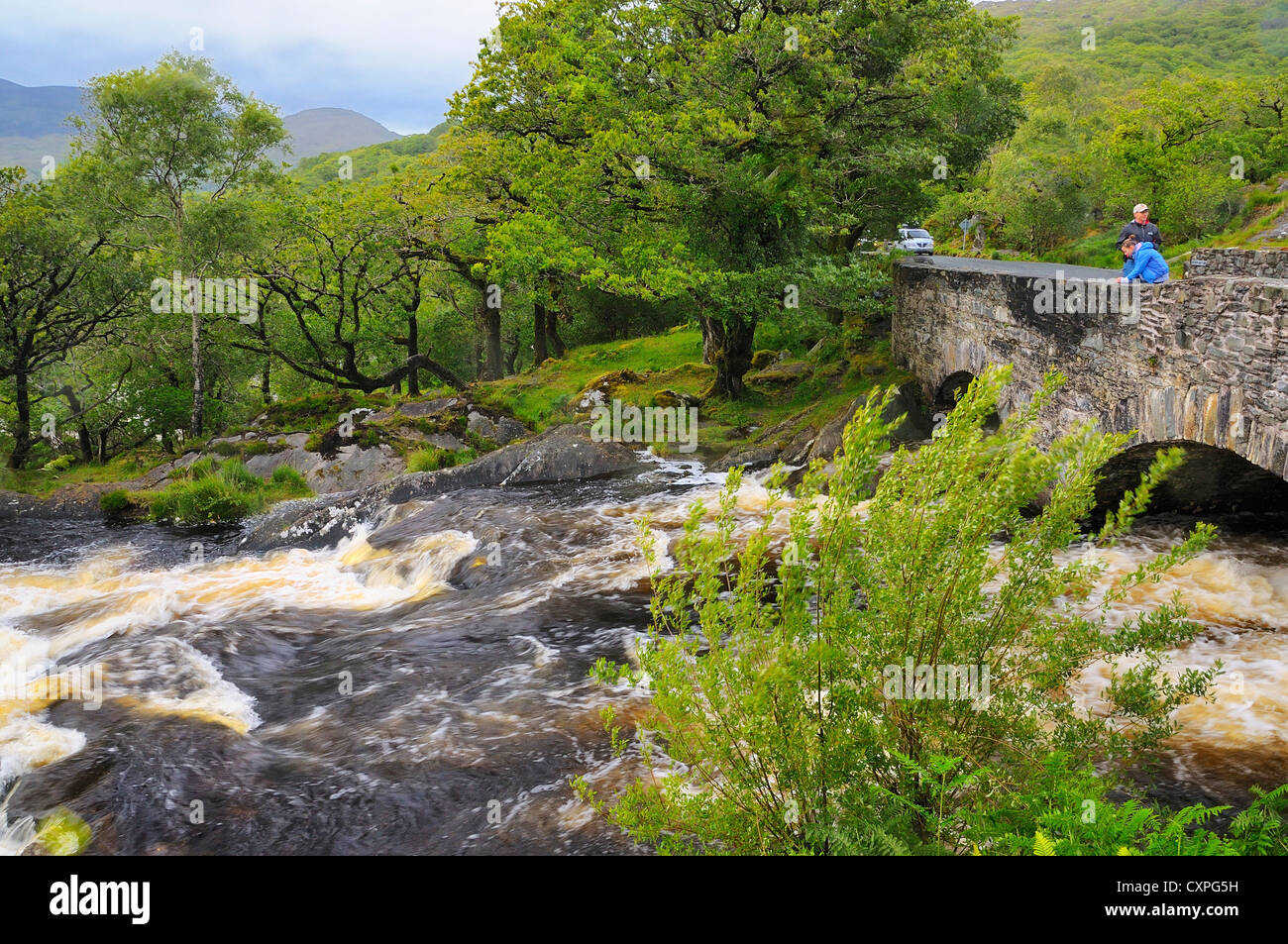 Ring of Kerry (N71) between the Looscaunach Lough and Upper Lake, Killarney National Park, Kerry County, Ireland. Stock Photo