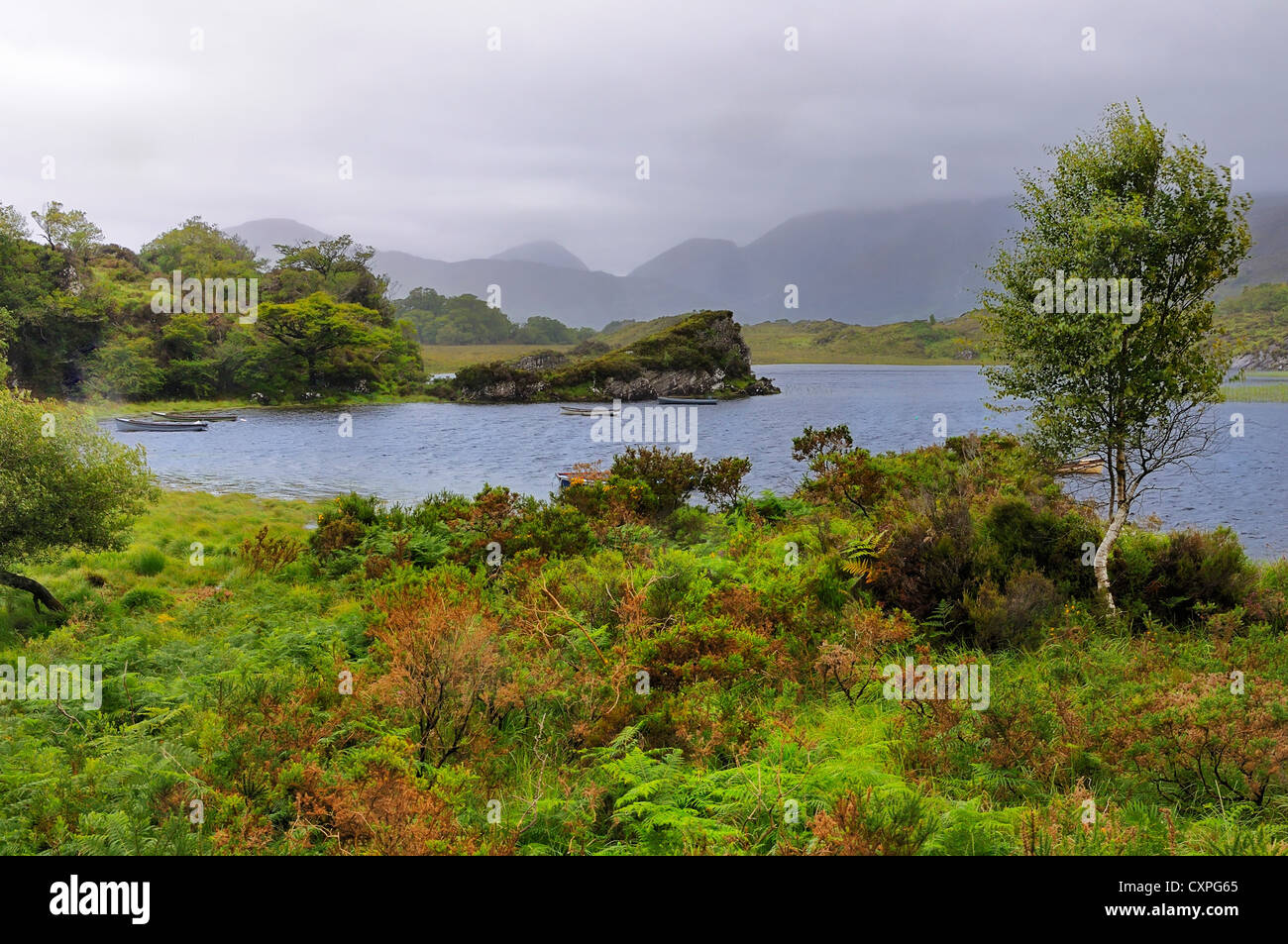 Lakes of Killarney, Killarney National Park, Kerry County, Ireland. Stock Photo